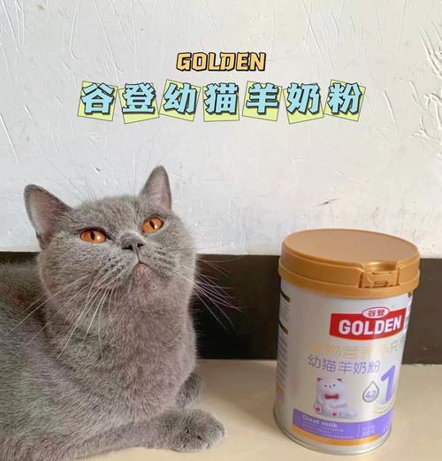 猫的羊奶粉拌猫粮好吗？正确的食用方法是什么？