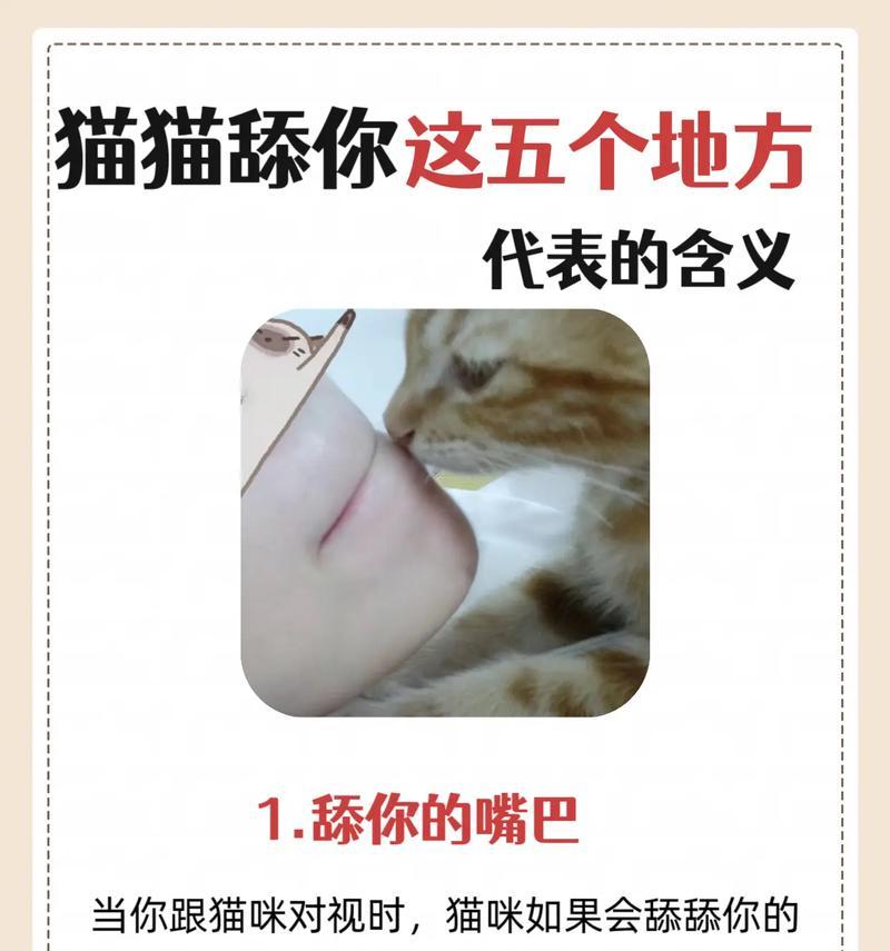 猫咪吃粮舌头上蹭是何原因？