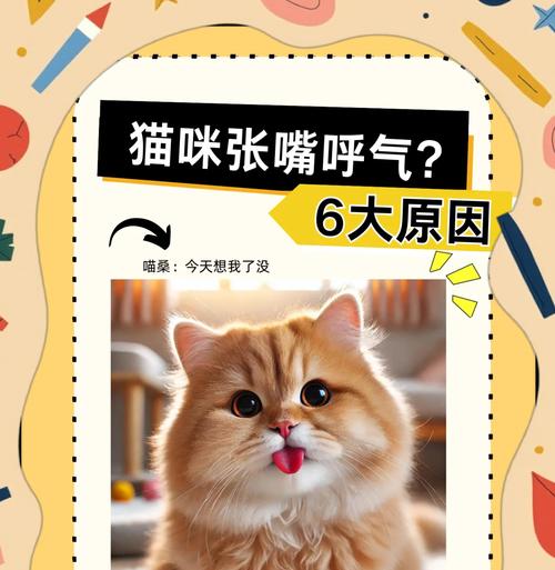 猫咪吃粮舌头上蹭是何原因？
