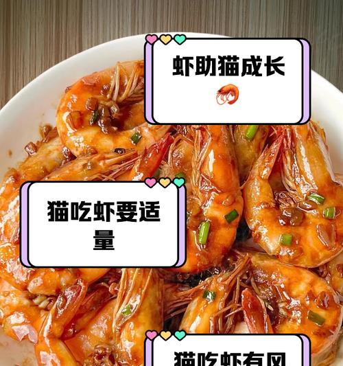 布偶猫天天吃虾好吗？会引起什么问题？