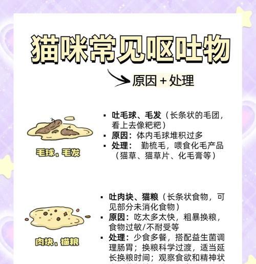 换猫粮后呕吐拉稀的原因是什么？