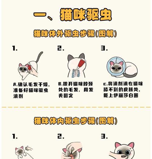 粘在墙上的猫粮如何清理？有哪些有效的方法？