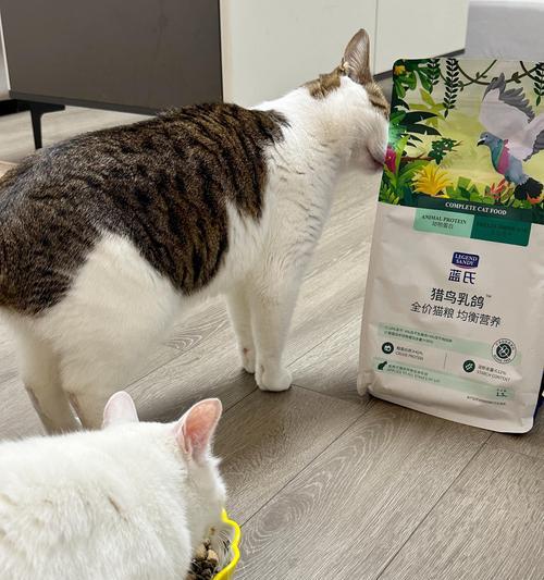粘在墙上的猫粮如何清理？有哪些有效的方法？