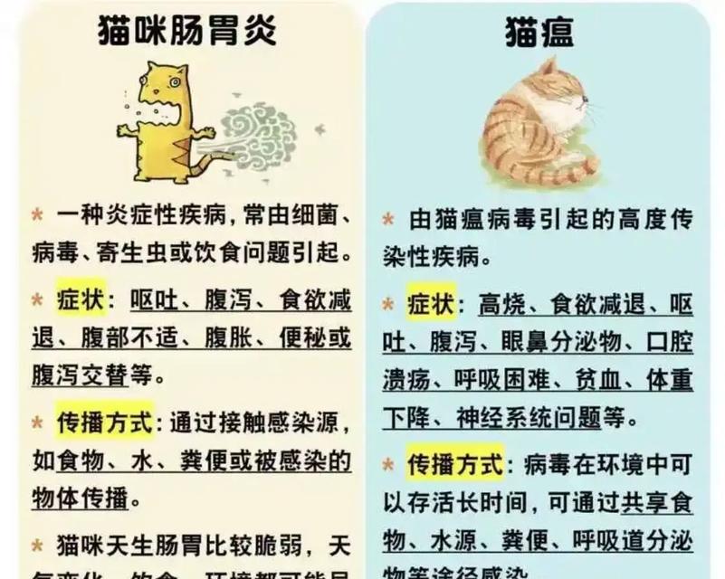 换粮期间猫呕吐拉稀是什么原因？
