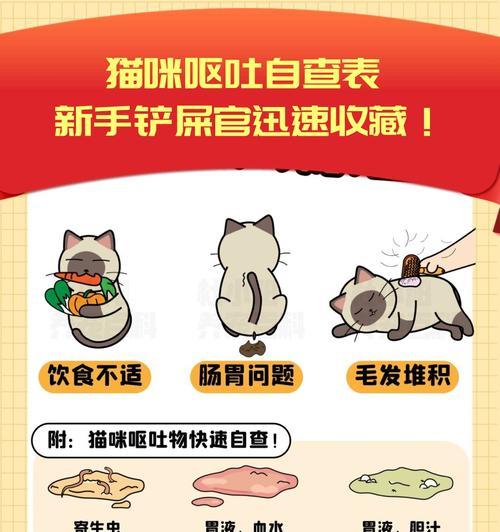 换粮期间猫呕吐拉稀是什么原因？