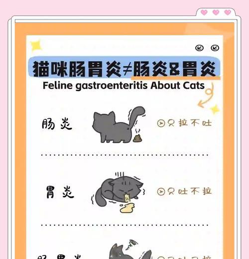 换粮期间猫呕吐拉稀是什么原因？