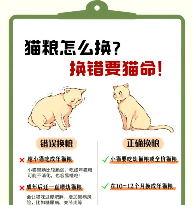 猫咪拒绝新猫粮应该怎么办？