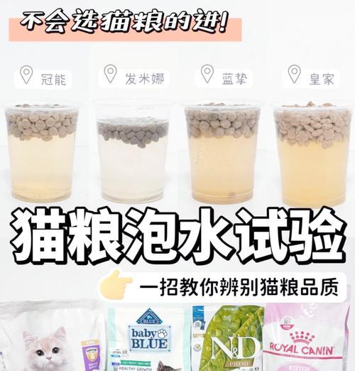 猫粮加水的正确方法是什么？加水后猫粮的保存方法是什么？