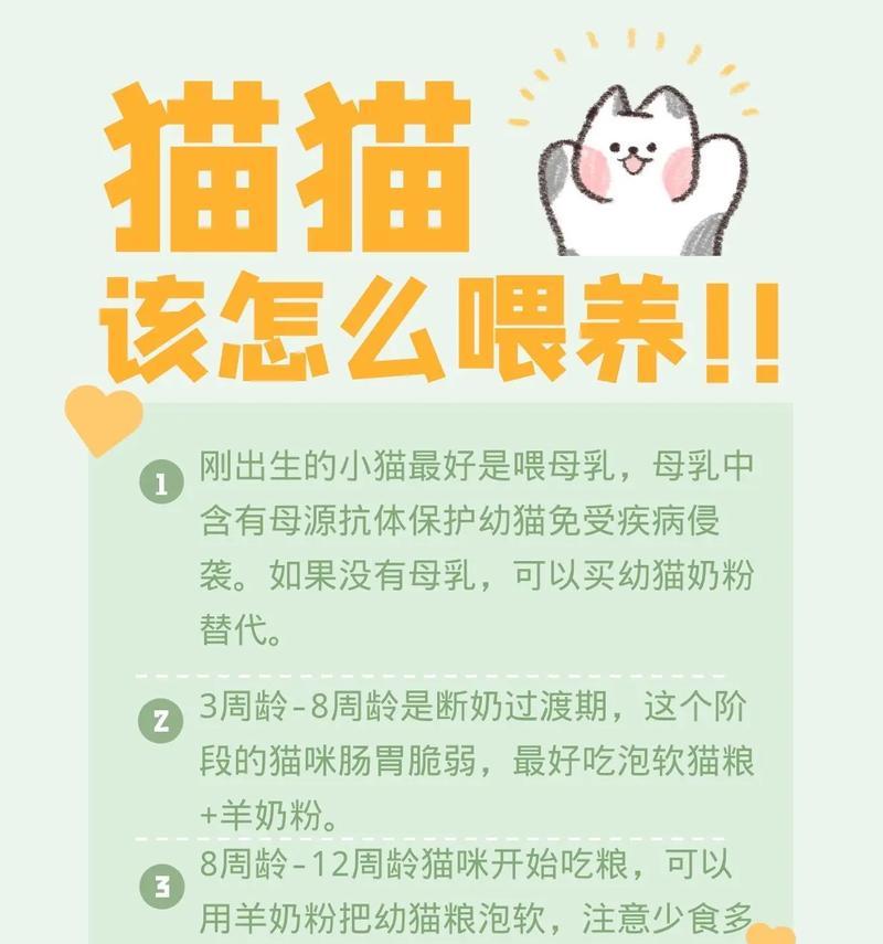 幼猫可以开始喂养猫粮吗？如何正确喂食幼猫猫粮？
