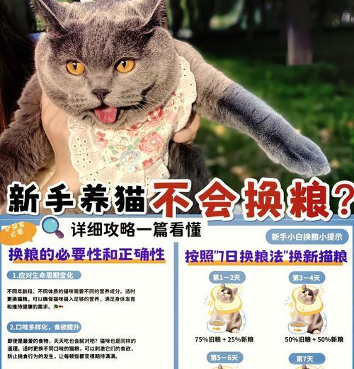 换粮换水对猫咪有何影响？