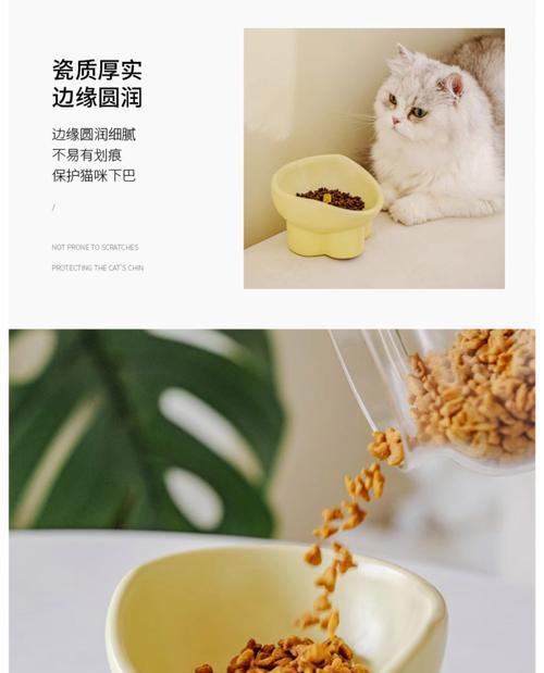 猫粮碗防飞溅罩如何正确使用？有哪些技巧？