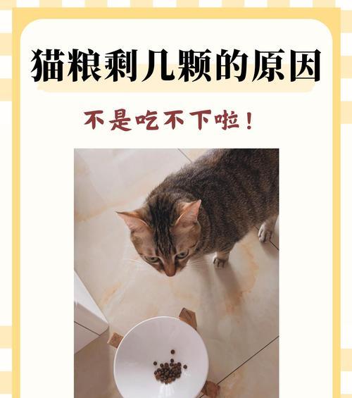 为什么猫只喜欢吃猫粮？