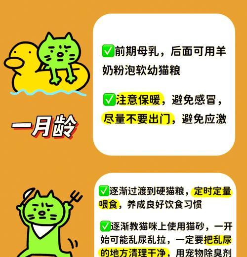 皇家幼猫湿粮临期时如何正确喂食？