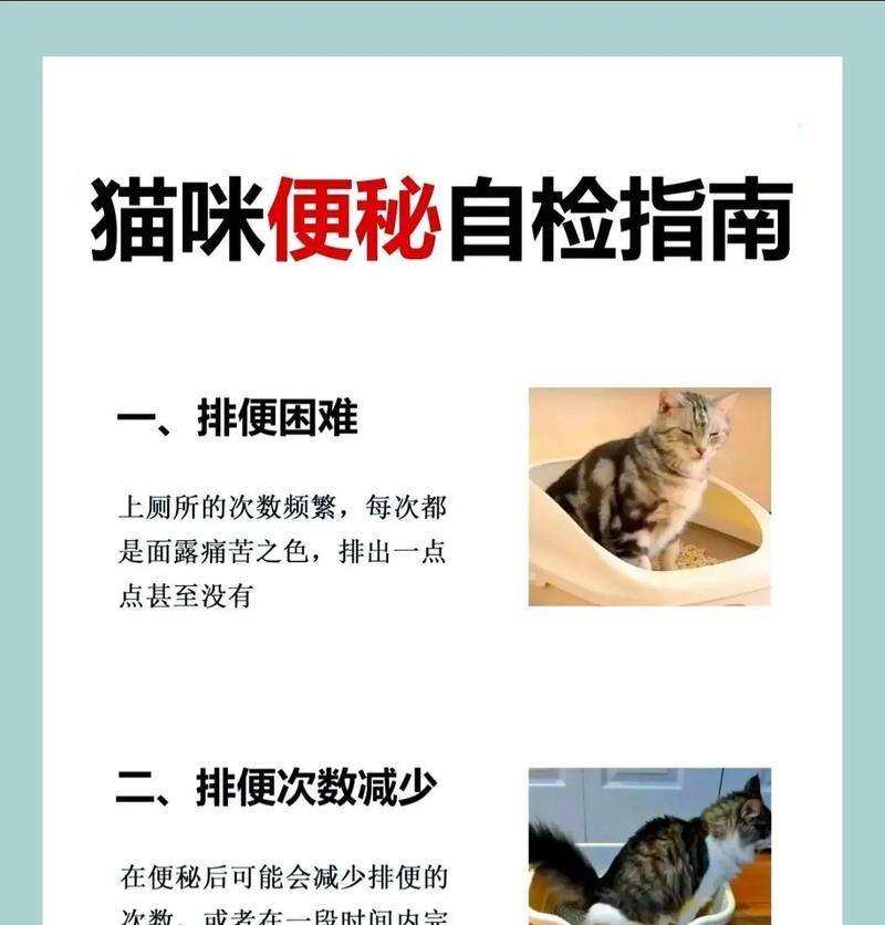 猫粮铲屎铲子的正确使用方法是什么？