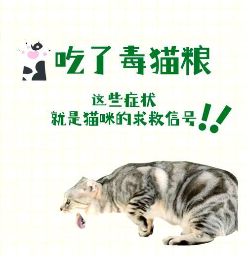 猫粮被投毒后猫咪为什么会死亡？如何预防？