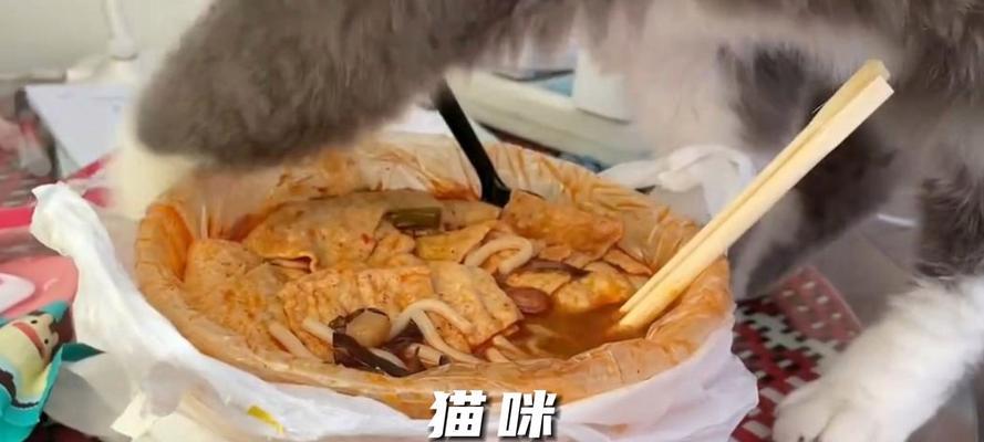 猫对所有猫粮埋屎怎么办？猫咪掩埋食物的行为有何含义？