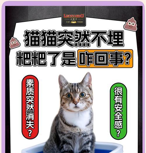 猫对所有猫粮埋屎怎么办？猫咪掩埋食物的行为有何含义？