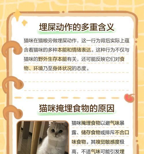 猫对所有猫粮埋屎怎么办？猫咪掩埋食物的行为有何含义？
