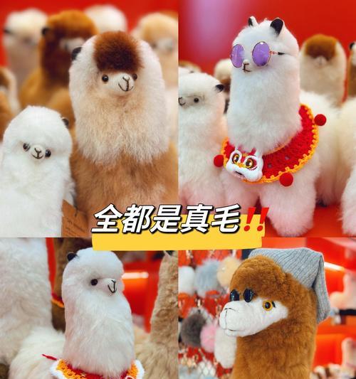 羊驼眼镜的含义是什么？它为何成为流行词汇？