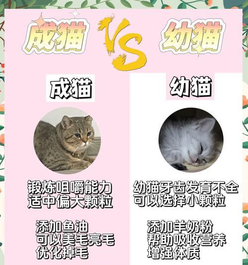 猫有粮还叫主人吃吗为什么？猫的行为背后隐藏着什么含义？