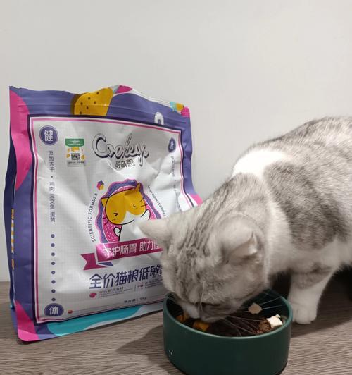 猫有粮还叫主人吃吗为什么？猫的行为背后隐藏着什么含义？
