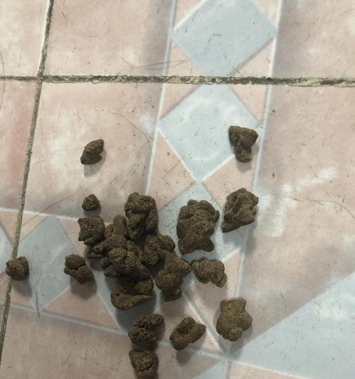 罗斯猫粮为何会出现不稳定现象？
