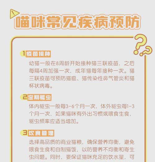 如何防止猫咪在无人时偷吃猫粮？有哪些有效方法？