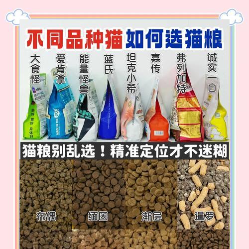 猫猫拉稀时如何选择合适的猫粮？