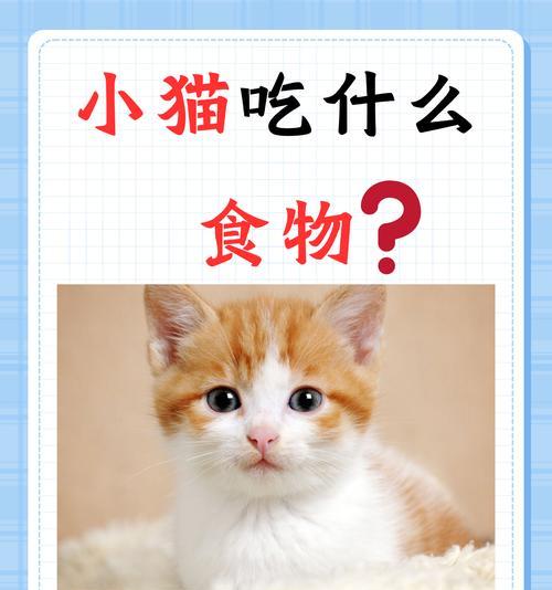 小猫多大开始吃猫粮合适？有哪些注意事项？