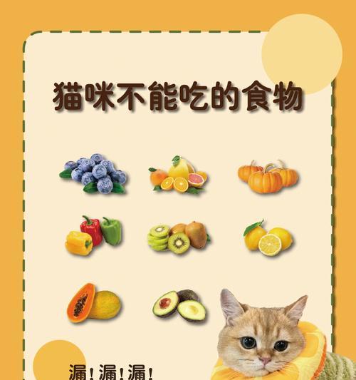 猫咪消化不良时应选择什么食物？