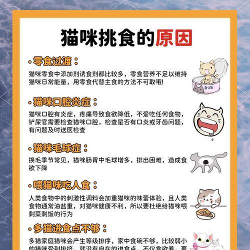 猫咪为何会主动供食？
