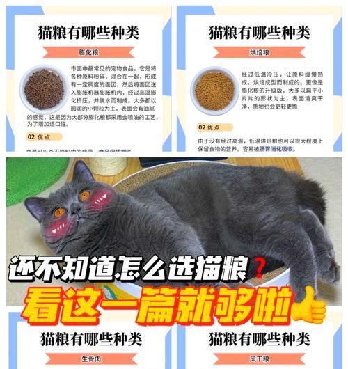 不喂猫粮时应选择哪种药物？