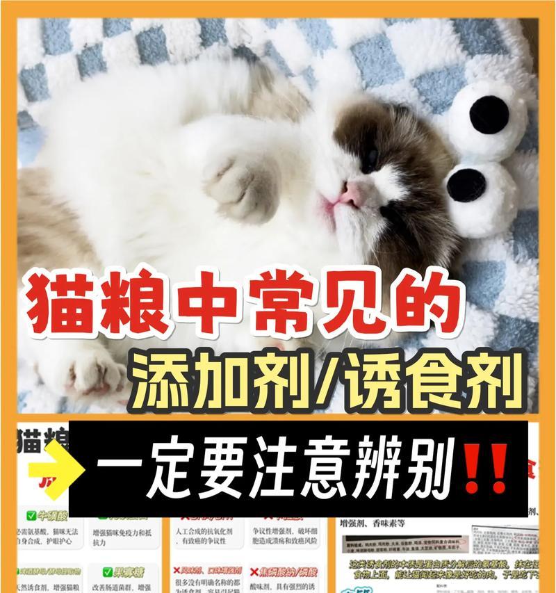 猫粮中发现氰化钠是什么情况？氰化钠对猫咪有何影响？
