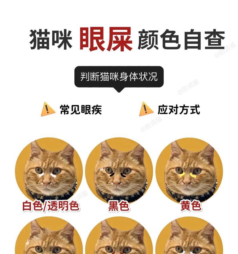幼猫吃猫粮后留下眼屎是什么原因？