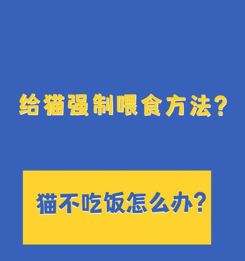 猫咪两天不进食但精神良好怎么办？是否需要强制喂食？