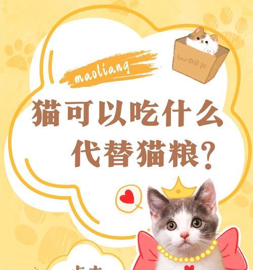 猫妈生产后不吃猫粮怎么办？如何喂养？