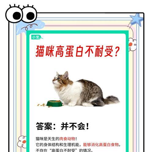 猫咪食用高蛋白猫粮导致腹泻的原因？