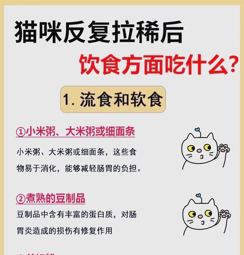 猫咪食用高蛋白猫粮导致腹泻的原因？