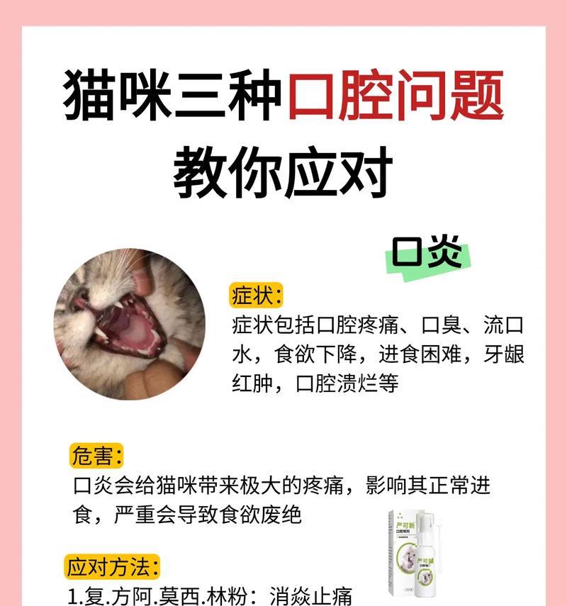 猫吃完猫粮嘴里疼怎么办？猫粮导致口腔问题的解决方法是什么？