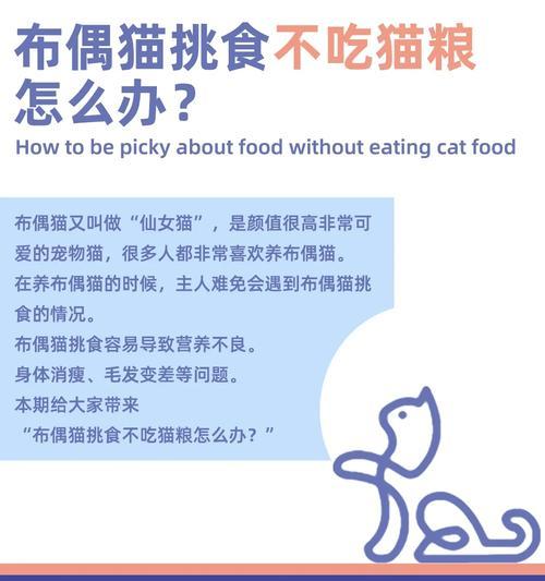 猫吃猫粮不嚼直接吞咽怎么办？