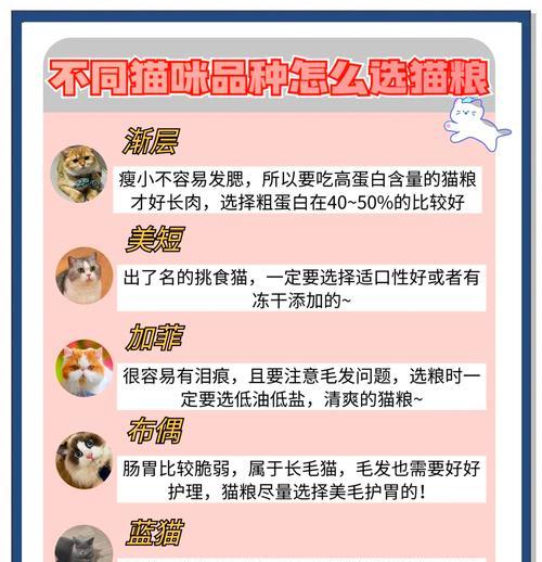 猫咪日常喂食猫粮的正确方法是什么？