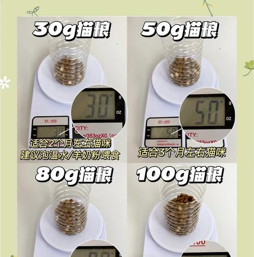 猫咪日常喂食猫粮的正确方法是什么？