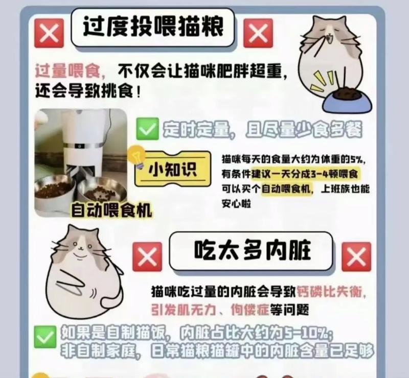 猫咪日常喂食猫粮的正确方法是什么？