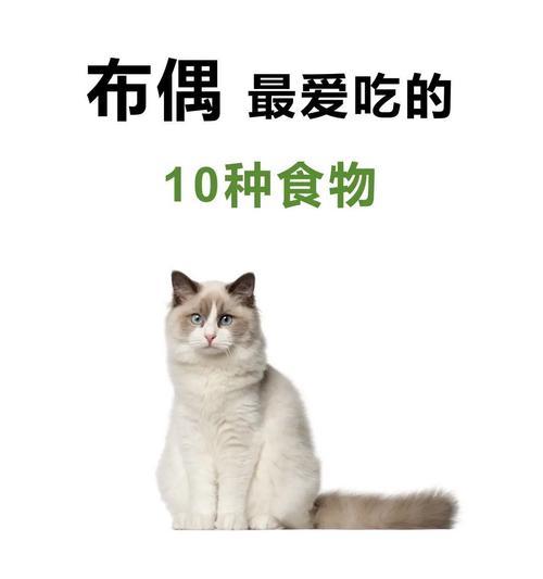 布偶猫产后适合吃什么猫粮？有哪些推荐？