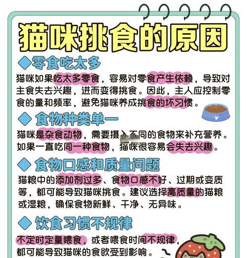 如何解决猫咪挑食和猫粮太瘦的问题？