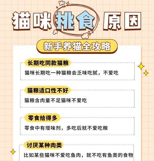 如何解决猫咪挑食和猫粮太瘦的问题？