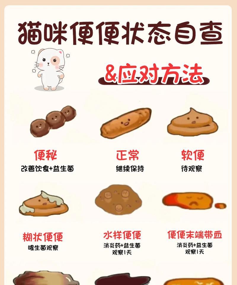 幼猫食用猫粮后拉血便的原因是什么？应如何处理？