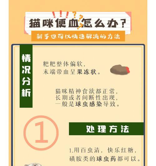 幼猫食用猫粮后拉血便的原因是什么？应如何处理？