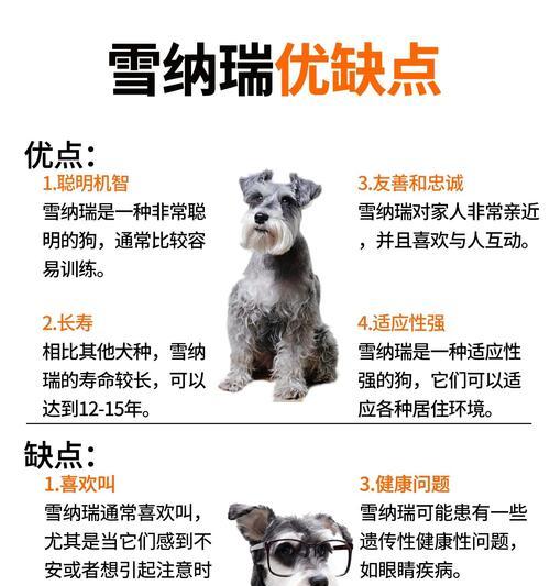 迷你雪纳瑞价格是多少？购买时应注意哪些事项？