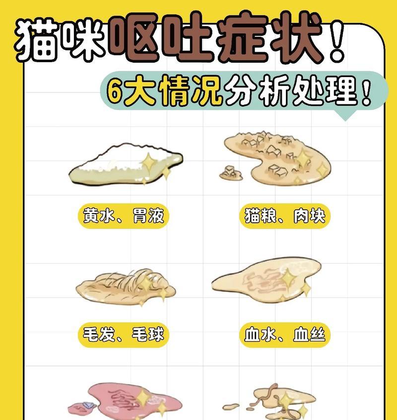 猫吃后几小时吐猫粮怎么回事？猫咪呕吐的原因有哪些？